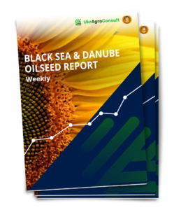 BLACK SEA & DANUBE OILSEED REPORT