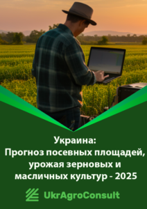Украина: Прогноз посевных площадей, урожая зерновых и масличных культур – 2025